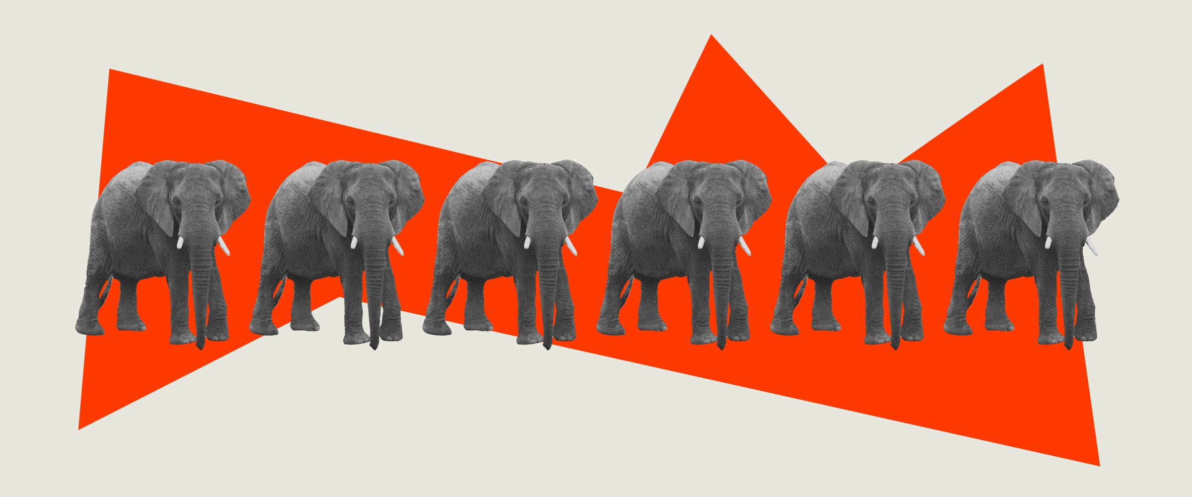 Elephant representing 6 B2B Gaints